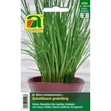 AUSTROSAAT drobnjak z grobimi cevkami | Shoptok.si