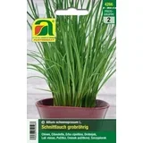 drobnjak z grobimi cevkami