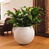 LECHUZA Cvetlični lonec PURO Color 50 ALL-IN-ONE premer 49 cm bel | Shoptok.si