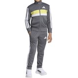 Adidas Komplet trenerka za dečake Essentials, Sivi Cene