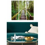Wallity Set slika MDF217816906, 3 dijela | Eponuda.ba