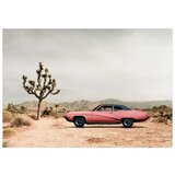  Tapeta - Desert California 450x315 | shoptok.hr