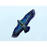  svjetleći zmaj BIRD Eagle - Realistična grabežljiva lovačka ptica ZA5572 | shoptok.hr