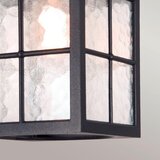 Elstead Lighting ZUNANJA STROPNA SVETILKA Winchester | Shoptok.si