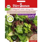 Dürr Samen Bio solata Babyleaf Spicy Mix Cene