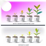  LED sijalica za rast biljaka PLANTY E27/11W/230V 1200K bela | Eponuda.com