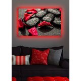 Wallity Zidna slika sa LED osvetljenjem 4570DACT-3, 45x70 cm | Eponuda.ba