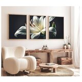 WALLXPERT dekorativna slika iz 3 dela Huhu224 20 x 30 | Eponuda.com