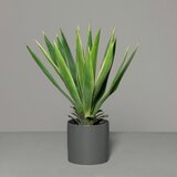 Lesnina XXXL UMETNA RASTLINA 60 cm Cene