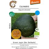 BIO buče Green Jugin Cene