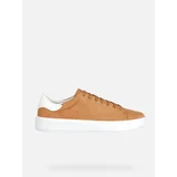 Geox Brown Mens Suede Sneakers - Men