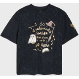 Sinsay Pamučna majica s printom Harry Potter Slike