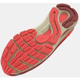 Under Armour Women's shoes W HOVR Sonic 6 | Shoptok.si