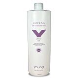 YOUNG Hidrogen 6%, 1 l Cene