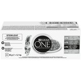 Purina ONE Sterilcat Mix Meat & Vegetables - 120 x 85 g Cijene
