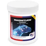Magnitude Powder - 1 kg