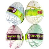  Hatching Magic Dinosaur Egg Growing 6 cm White. | shoptok.hr