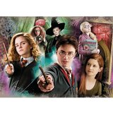 HARRY POTTER Puzzle Harry Potter - 104 delova Cene