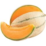 Maxi pijaca Dinja Kantalup | Eponuda.com