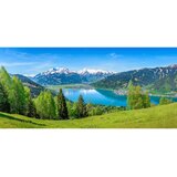 Monee UMETNIŠKI POTISK | Shoptok.si