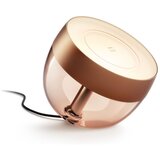 Philips LED RGB prigušiva stolna lampa Hue IRIS LED/8,2W/230V bakarna | Eponuda.com