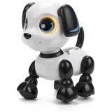 Robo pas ( 1100044999 )