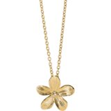 Nakit 2JEWELS OGRLICA 251998 Cijene