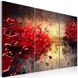  Slika - Red splash 90x60 Cijene