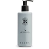Bjork Silver Balzam za kosu AG, 250 ml Cene