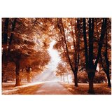  Tapeta - Autumn Park 350x245 | shoptok.hr