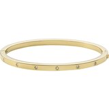 Fossil Narukvica zlatna / prozirna | shoptok.hr