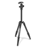Manfrotto element traveller majhno stojalo s kroglično glavo, črno Cene