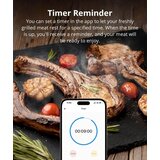 SONOFF termometer za meso BMT01 | Shoptok.si