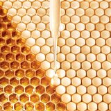 Guerlain abeille royale fortifying lotion with royal jelly tonik za obraz 150 ml za ženske | Shoptok.si