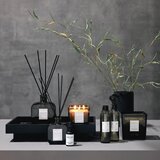 Inscent Sprej Za Prostor Aquatic Freshness | Shoptok.si