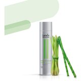 Londa Professional Impressive Volume šampon za volumen za fine in tanke lase 250 ml | Shoptok.si