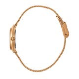 ROČNA URA LEE COOPER LC08140.410 | Shoptok.si