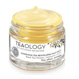 Teaology Kombucha Tea Revitalizing Face Cream 50ml | Eponuda.ba