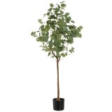Casa Selección Umjetna biljka Eucalyptus – Cijene