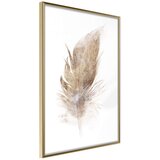  Poster - Lost Feather (Beige) 20x30 Cijene