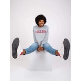 FANCY Sweatshirt-FA-BL-7649.85P-grey | Shoptok.si