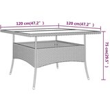  Vrtna jedilna garnitura 9-delna poli ratan rjava | Shoptok.si