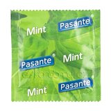 Pasante Mint 1 pc Cijene