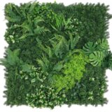 TGC Zeleni zid monstera-paprat mix 100x100cm Cene