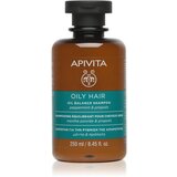 Apivita Hair Care Oily Hair šampon za dubinsko čišćenje masnog vlasišta za jačanje i sjaj kose 250 ml Cijene