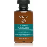 Apivita Hair Care Oily Hair šampon za dubinsko čišćenje masnog vlasišta za jačanje i sjaj kose 250 ml