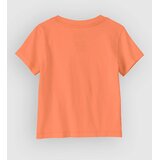Patagonia Graphic Kids T-shirt surf shelly / peach sherbet | Shoptok.si
