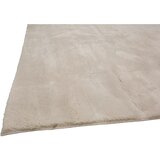 Novel PREPROGA Z VISOKIM FLOROM 120/170 cm krem barve | Shoptok.si