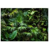  Samoljepljiva foto tapeta - Sunny Jungle 98x70 | shoptok.hr