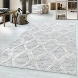 Lesnina-XXXL tkana preproga pisa 4703 grau 240/340 cm tkano siva | Shoptok.si